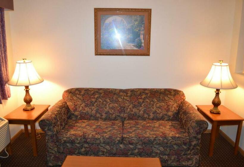 带大床的套房, Countryside Suites Omaha