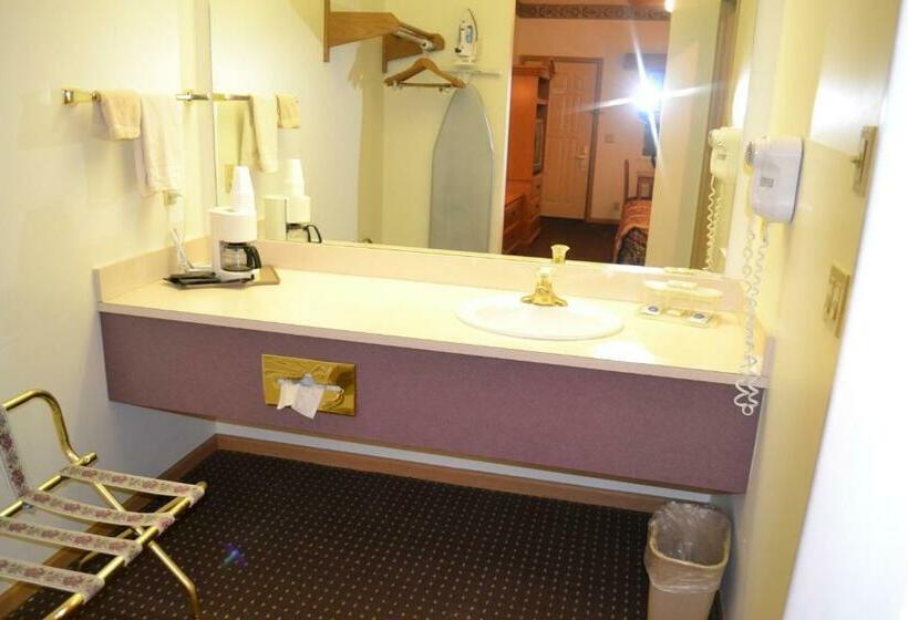 带大床的套房, Countryside Suites Omaha