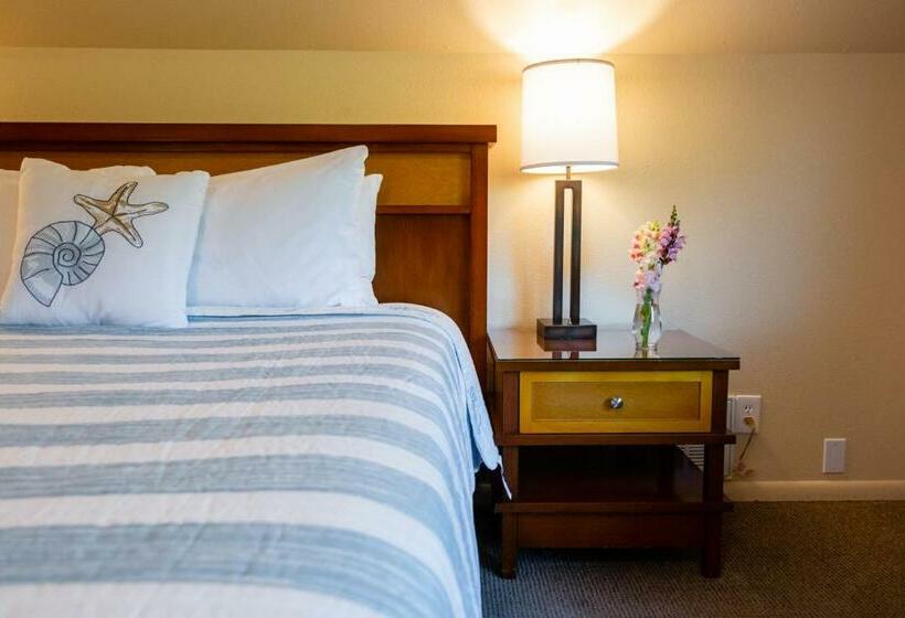 غرفة قياسية, Discovery Inn