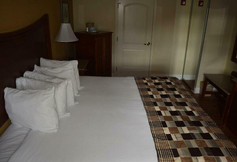 غرفة قياسية سرير كينج, Atkinson Inn & Suites