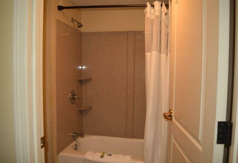 غرفة قياسية سرير كينج, Atkinson Inn & Suites