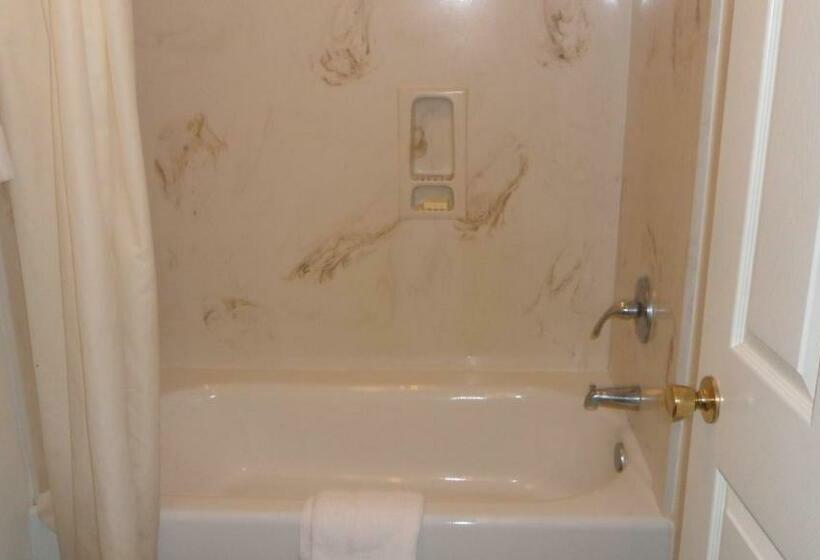 キングサイズベッドのスタンダードルーム, Deluxe Inn Palacios