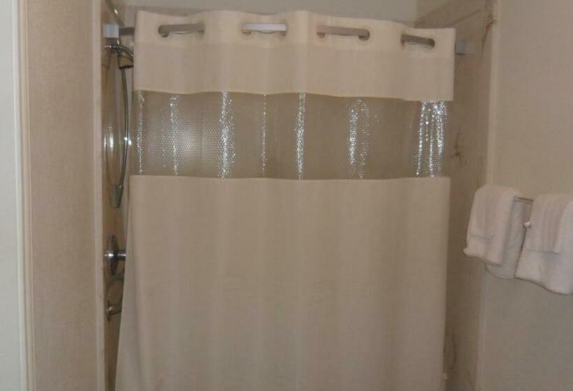 キングサイズベッドのデラックスルーム, Deluxe Inn Palacios