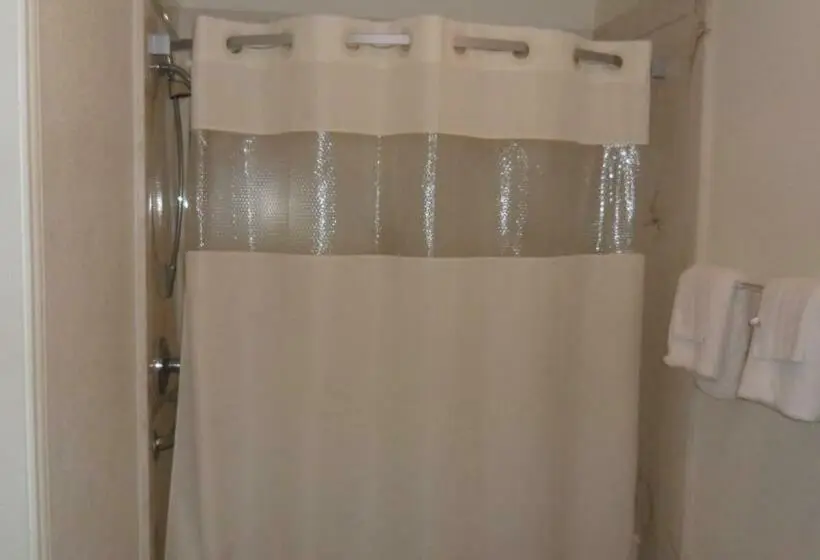 Deluxe-huone King-vuode, Deluxe Inn Palacios