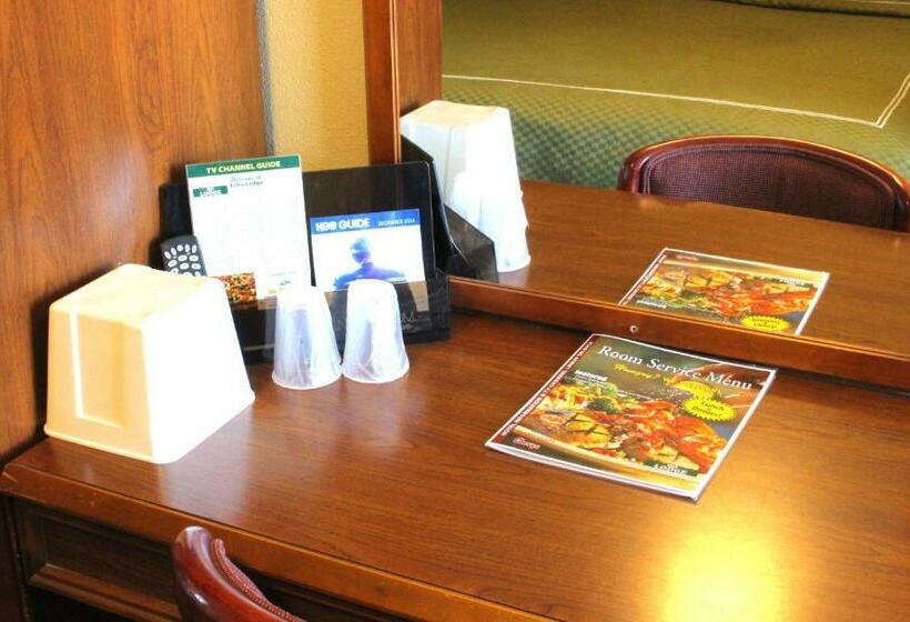 غرفة قياسية سرير كينج, Echo Lodge