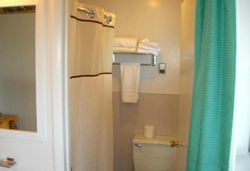 스탠다드 싱글 룸 킹 침대, Walker River Lodge