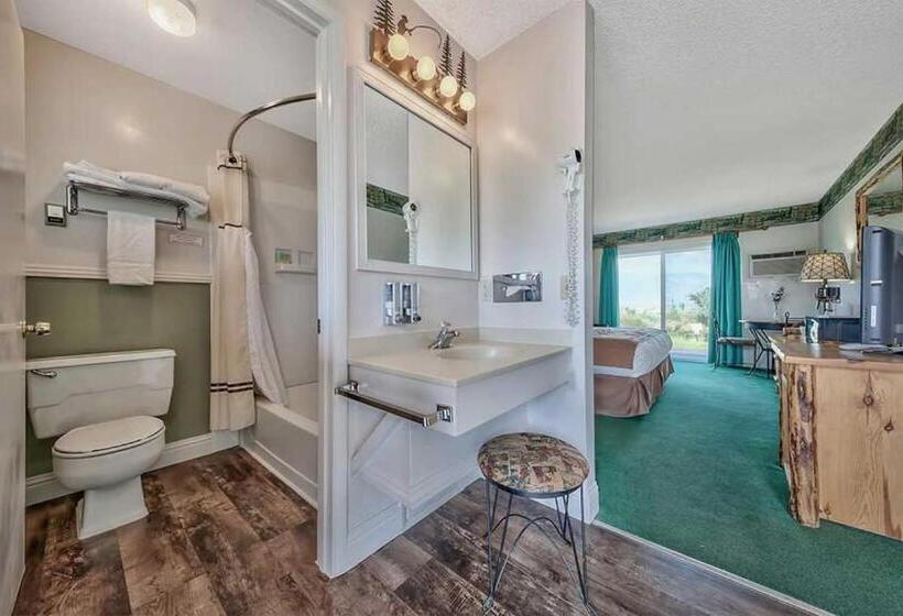 스탠다드 싱글 룸 킹 침대, Walker River Lodge
