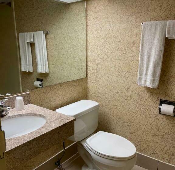 غرفة قياسية سرير كينج, Budget Inn Temple Hills