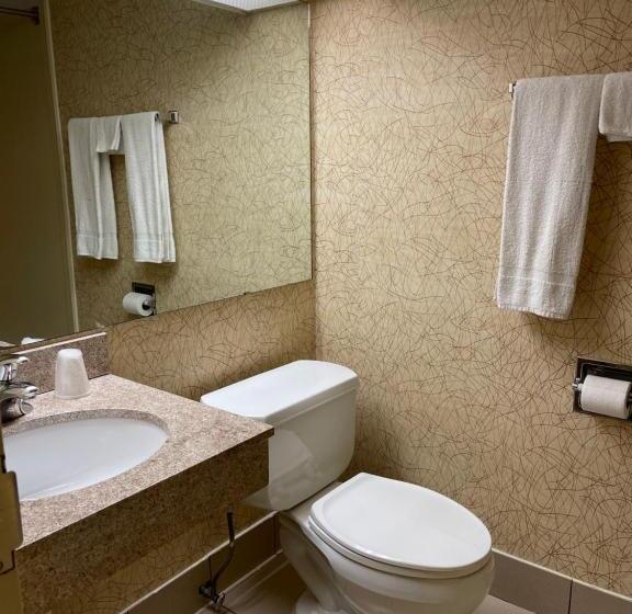 جناح مزود بجاكوزى, Budget Inn Temple Hills