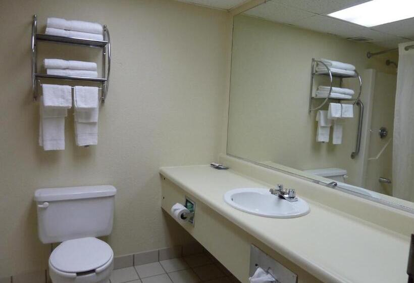 غرفة قياسية سرير كينج, Katahdin Inn & Suites