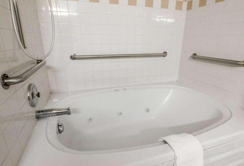 جناح سرير كينج, Quality Suites San Diego Otay Mesa