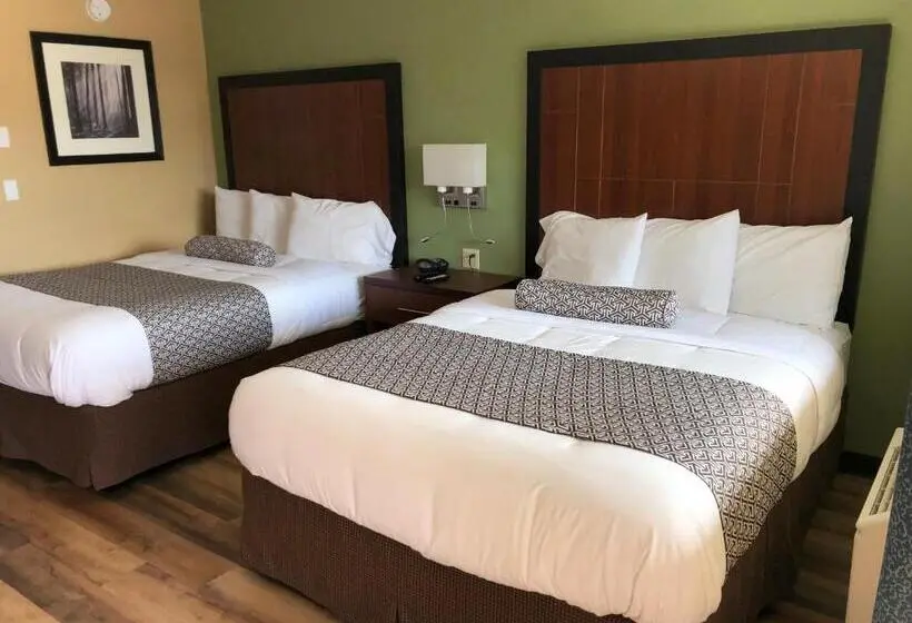 スタンダードルーム, Knights Inn Motel
