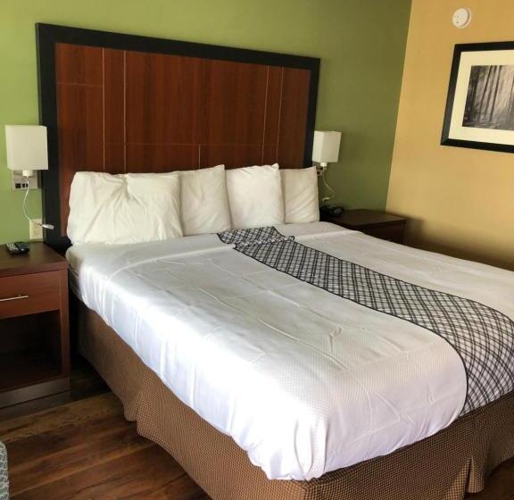 Стандартный Номер Кровать Кинг, Knights Inn Motel