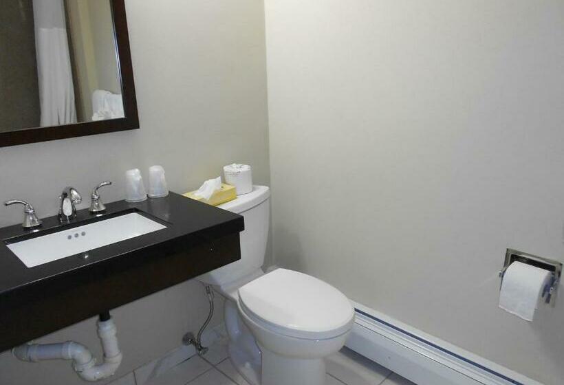 キングサイズベッドのデラックスルーム, Cape Shore Inn