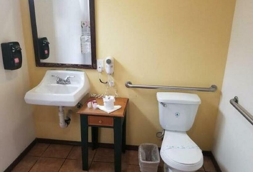 غرفة قياسية لذوى الاحتياجات الخاصة, Casa Bella Inn Downtown La
