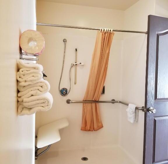 غرفة قياسية لذوى الاحتياجات الخاصة, Casa Bella Inn Downtown La