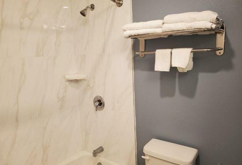 Номер Стандарт Вид на Парк, Ocean Surf Inn & Suites