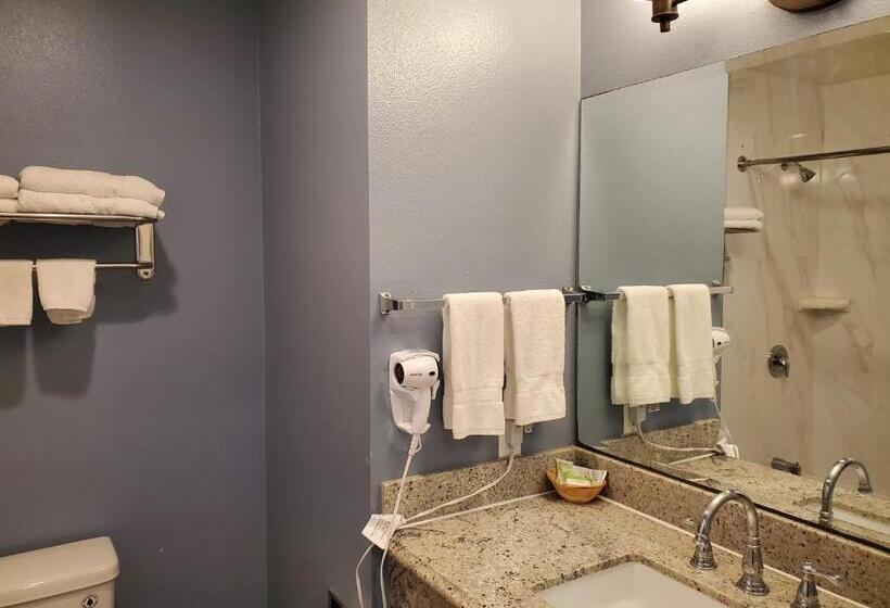 Номер Стандарт Двуспальная Кровать Вид на Парк, Ocean Surf Inn & Suites