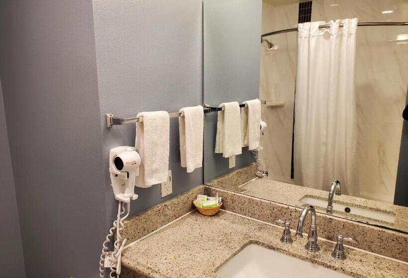 Номер Economy, Ocean Surf Inn & Suites