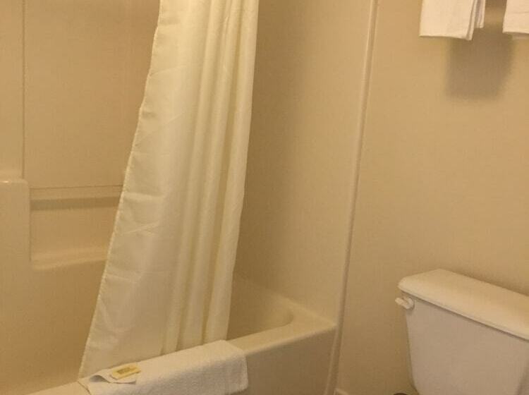 غرفه قياسيه سريرين مزدوجين, Shelaine Inn