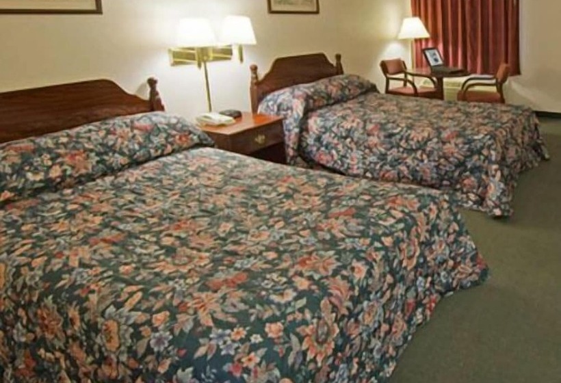 غرفه قياسيه سريرين مزدوجين, Shelaine Inn