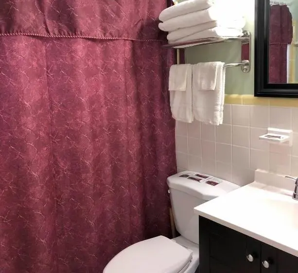 Executive-sviitti King-vuode, Sunshine Inn & Suites Venice, Florida