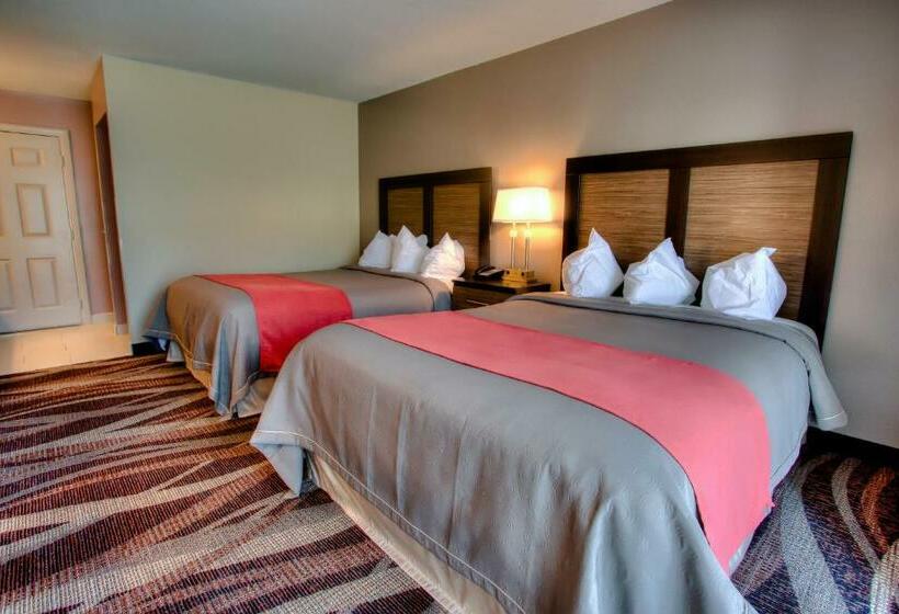 Номер Стандарт, The Beaucatcher – A Boutique Motel