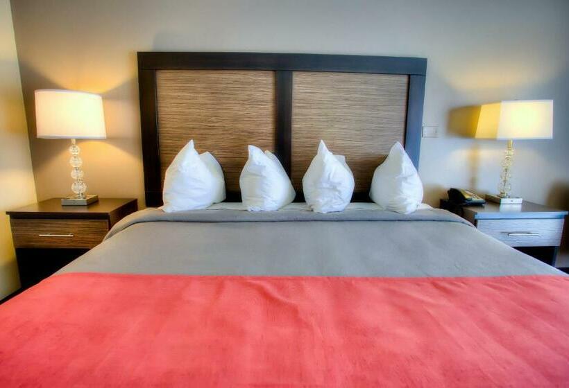 غرفة قياسية سرير كينج, The Beaucatcher – A Boutique Motel