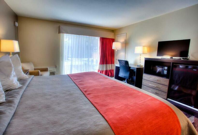 Стандартный Номер Кровать Кинг, The Beaucatcher – A Boutique Motel