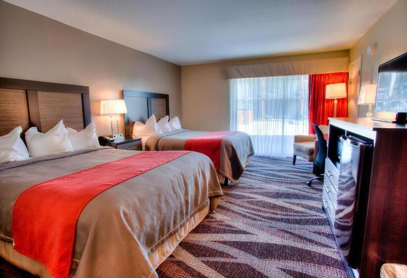 غرفة قياسية, The Beaucatcher – A Boutique Motel