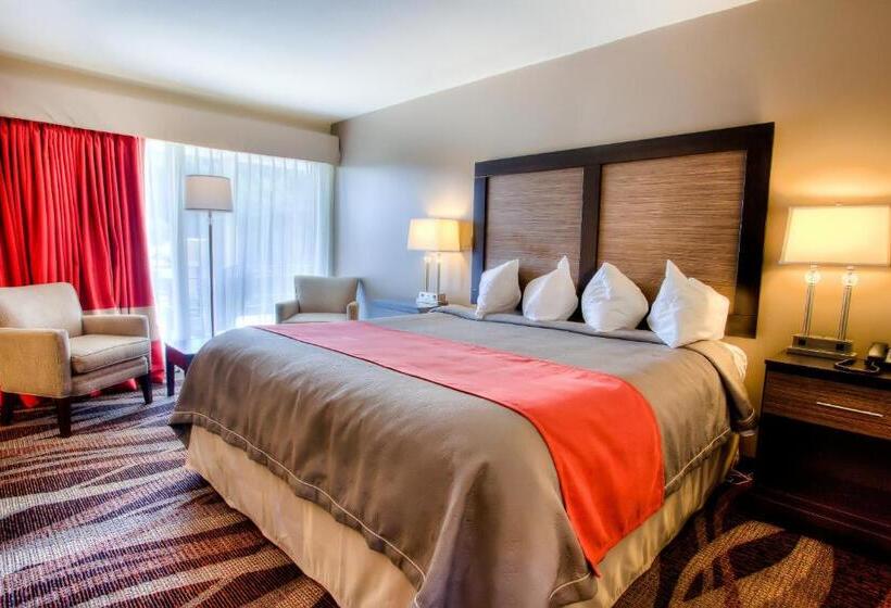 غرفة قياسية سرير كينج, The Beaucatcher – A Boutique Motel