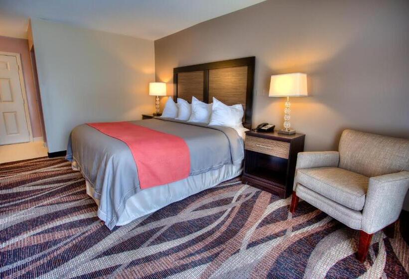 غرفة قياسية مزوَّدة بتراس, The Beaucatcher – A Boutique Motel