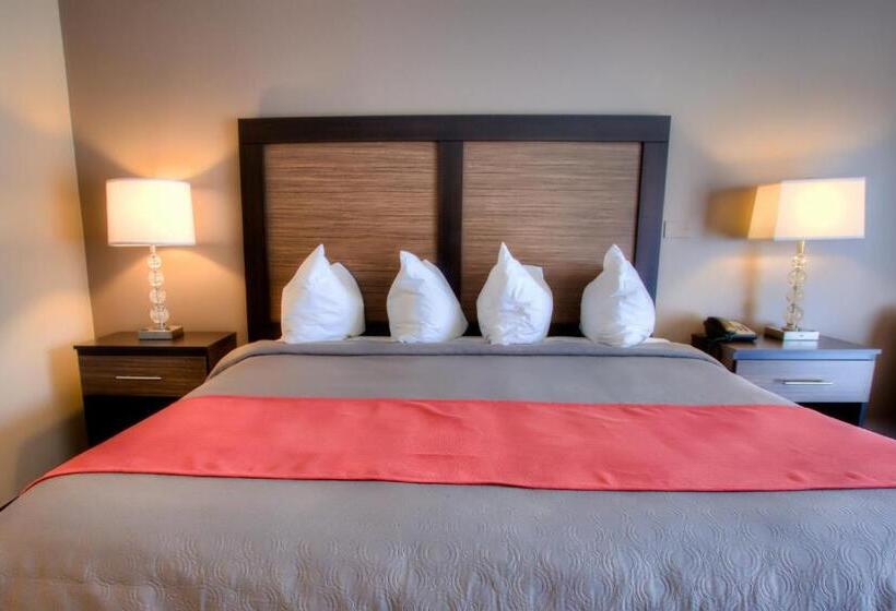 غرفة قياسية مزوَّدة بتراس, The Beaucatcher – A Boutique Motel