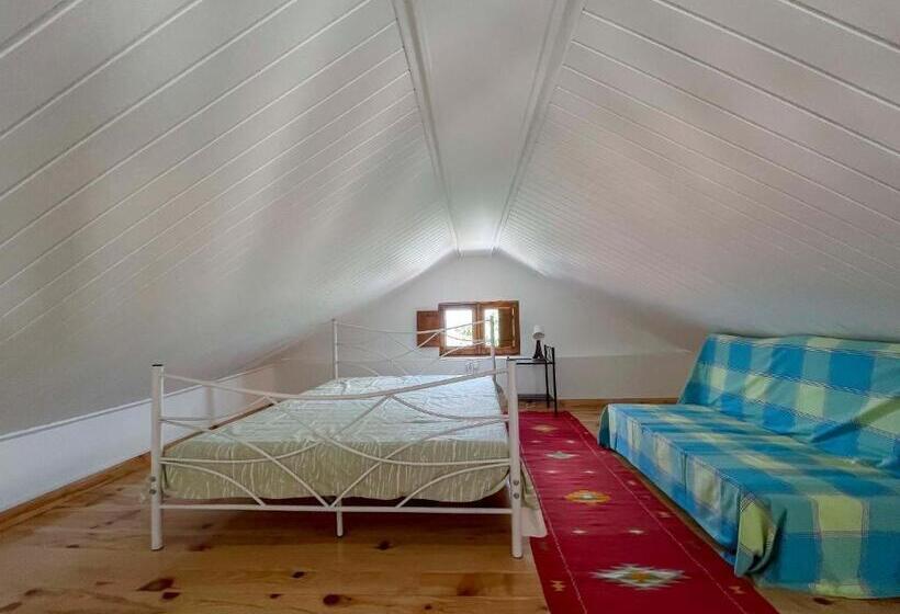 家庭套房, Casa Luis Pato