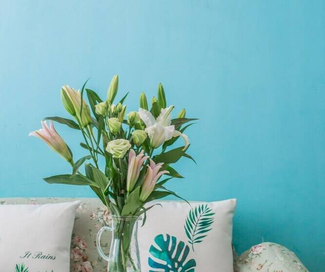 Deluxe Room, Chengdu Nova Traveller S Youth Hostel