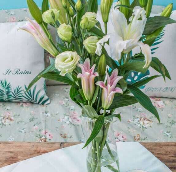 Deluxe Room, Chengdu Nova Traveller S Youth Hostel