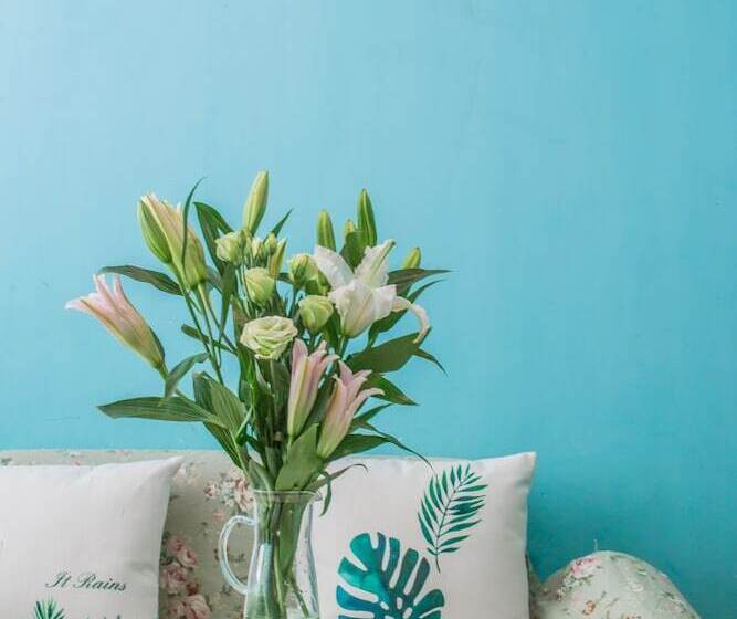 Deluxe Room, Chengdu Nova Traveller S Youth Hostel