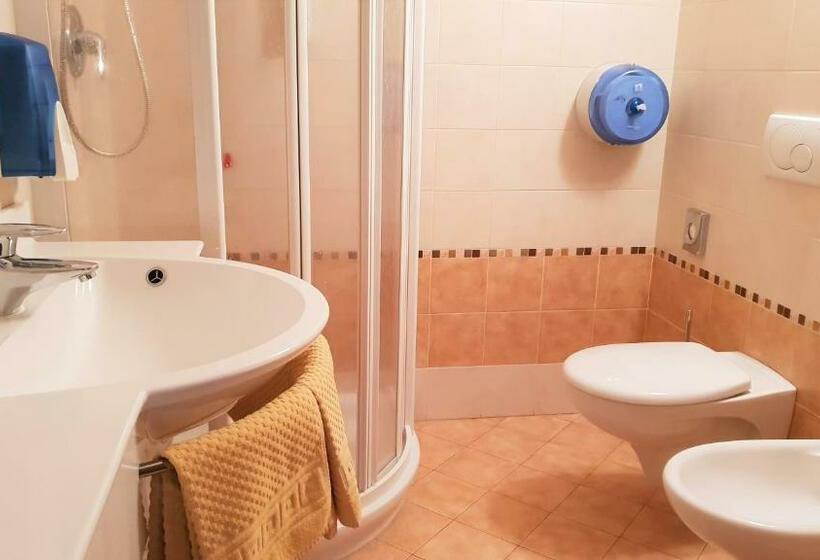 اتاق استاندارد, Alpino Lodge Bivio