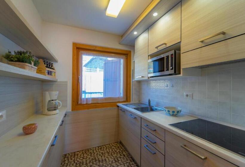 آپارتمان 3 خوابه, Alpino Lodge Bivio