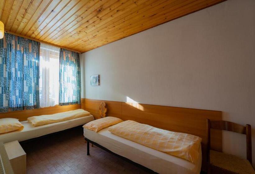Апартаменты 3 Спальни, Alpino Lodge Bivio