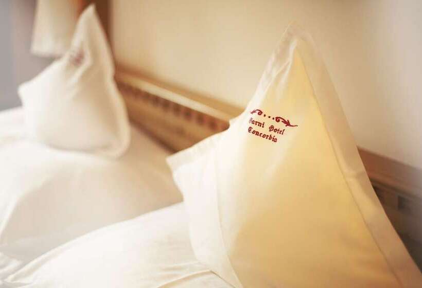 غرفة كلاسيكية مطلة على الجبل, Garni Concordia Dolomites Home