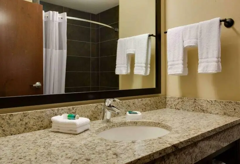 Sviitti, Drury Plaza Hotel Pittsburgh Downtown