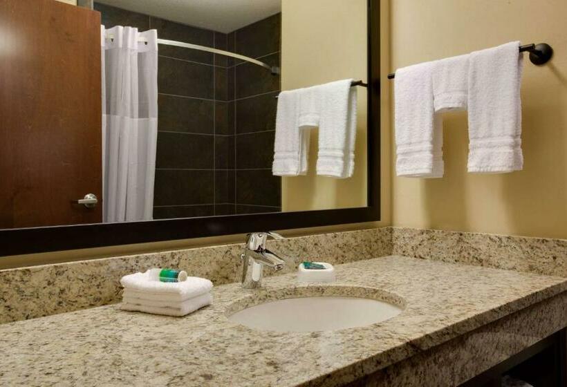 Номер Deluxe, Drury Plaza Hotel Pittsburgh Downtown