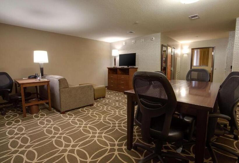 适合残疾人士使用的套间, Drury Plaza Hotel Pittsburgh Downtown