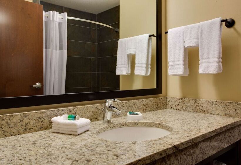 Номер Deluxe, Drury Plaza Hotel Pittsburgh Downtown