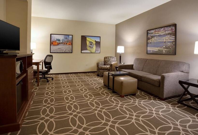 适合残疾人士使用的套间, Drury Plaza Hotel Pittsburgh Downtown