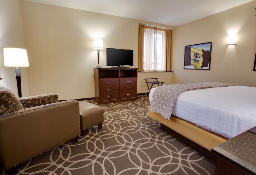 适合残疾人士使用的套间, Drury Plaza Hotel Pittsburgh Downtown