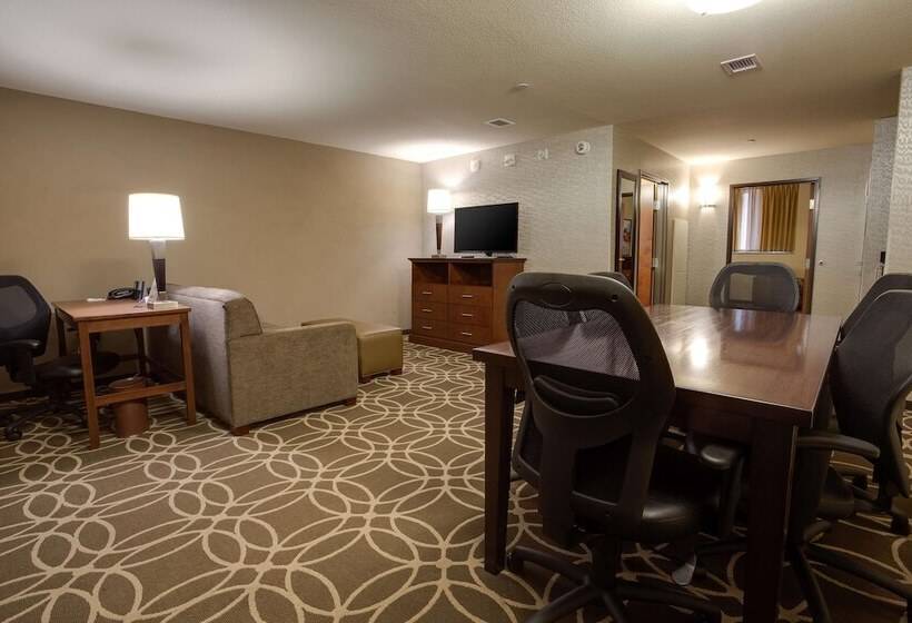 Люкс, Drury Plaza Hotel Pittsburgh Downtown