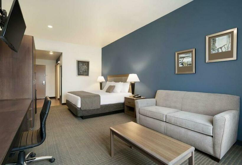Стандартный Номер Кровать Кинг, Best Western Plus Peppertree Nampa Civic Center Inn