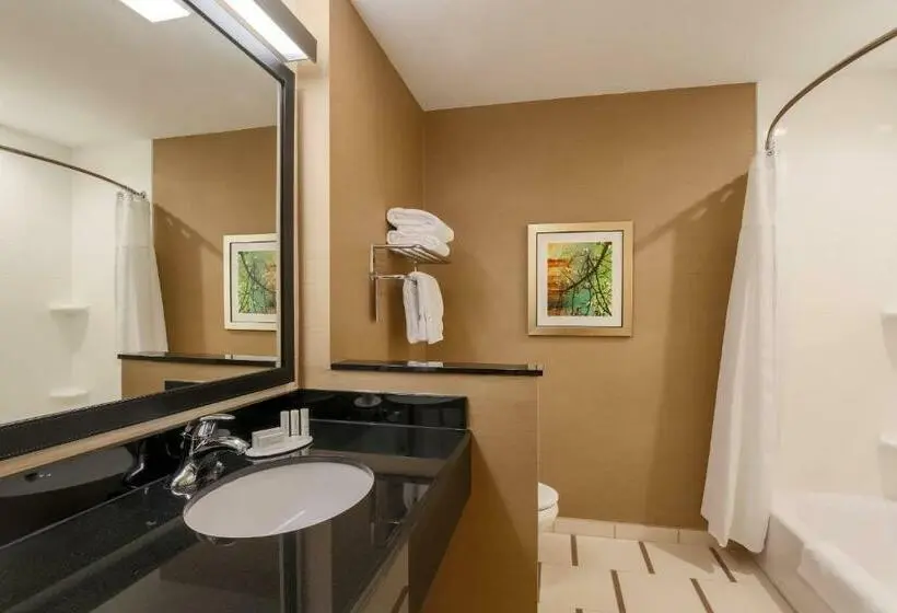 キングサイズベッドのスタンダードルーム, Fairfield Inn & Suites By Marriott Cuero